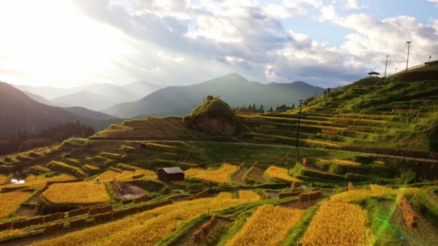 CYMERA_20140914_170223