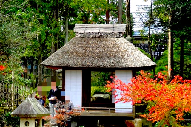 thum_RE_CYMERA_20141201_081441-640x480