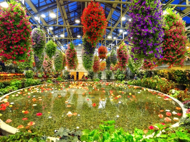 CYMERA_20141119_191251