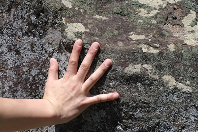 image4d-copyのコピー