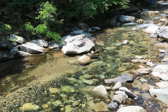 img_3994のコピー