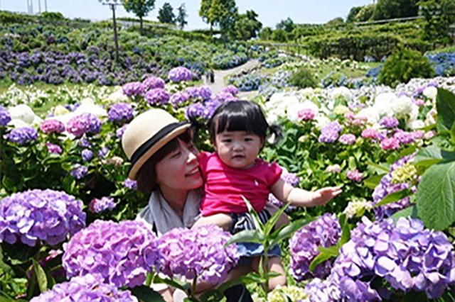 P1240144_sのコピー