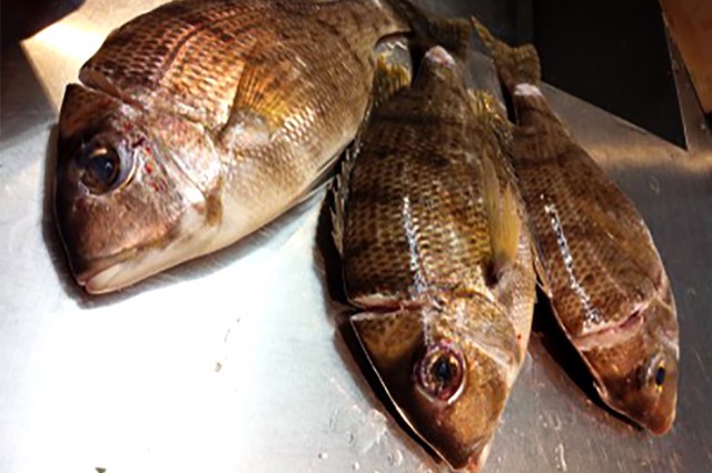 %e3%83%a1%e3%82%a4%e3%83%81