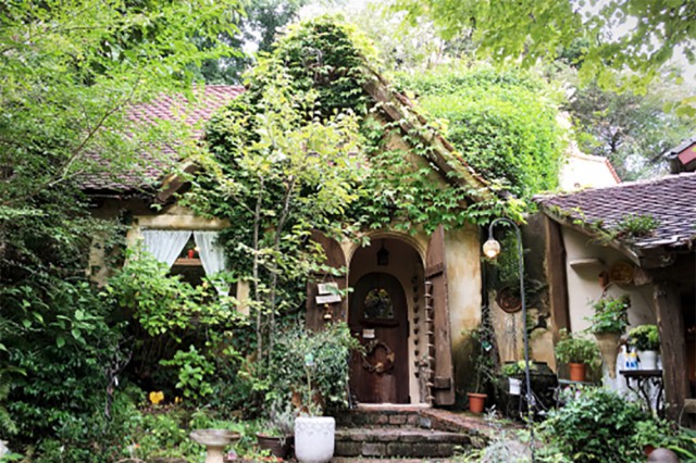 e0292546_06183204%e3%81%ae%e3%82%b3%e3%83%92%e3%82%9a%e3%83%bc