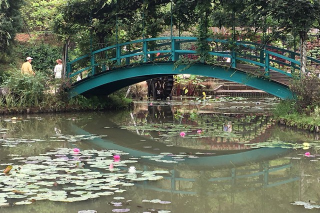 img_4849-1%e3%81%ae%e3%82%b3%e3%83%92%e3%82%9a%e3%83%bc