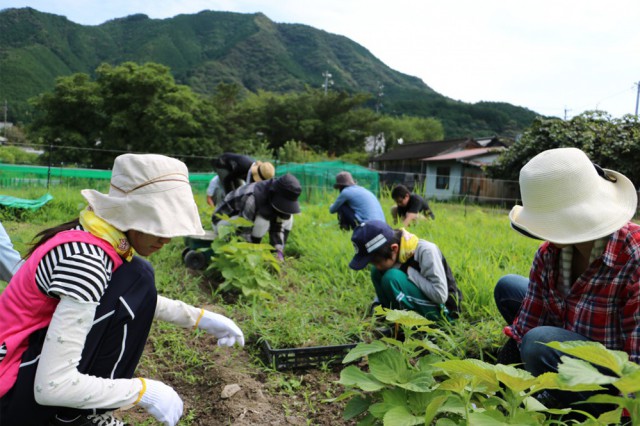 img_0492-1024x683%e3%81%ae%e3%82%b3%e3%83%92%e3%82%9a%e3%83%bc