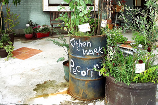 e0292546_14463572%e3%81%ae%e3%82%b3%e3%83%92%e3%82%9a%e3%83%bc