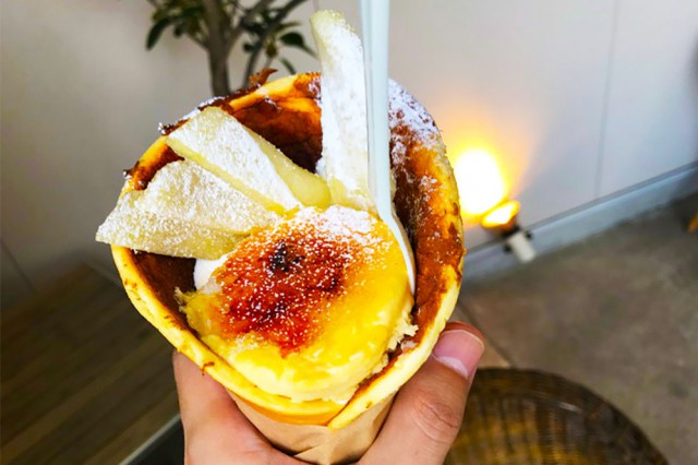 img_3452%e3%81%ae%e3%82%b3%e3%83%92%e3%82%9a%e3%83%bc