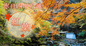 名張の観光スポット 紅葉の赤目四十八滝