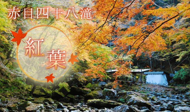 main_visual_akame 名張の観光スポット 紅葉の赤目四十八滝