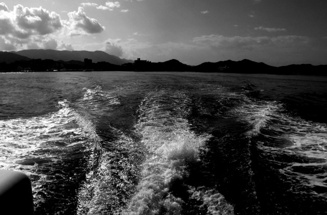 img_8645%e3%82%b5%e3%83%a0%e3%83%8d%e3%83%bc%e3%83%ab