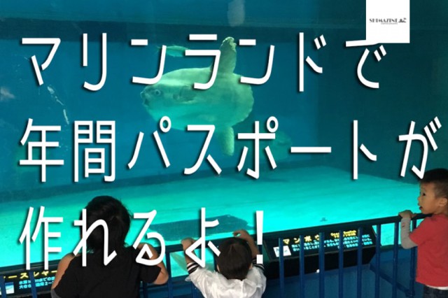 %e3%83%9e%e3%83%aa%e3%83%b3%e3%83%a9%e3%83%b3%e3%83%88%e3%82%99