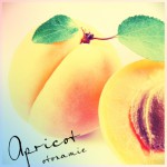 Apricot