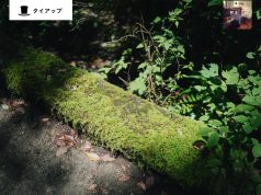 松阪市飯高町 「珍布峠ウォーキングコース」大きく息を吸い込んで、エネルギーを満タンに