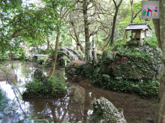 思い出を辿る旅 ー三岐線に乗って聖宝寺へー