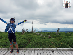 大杉谷⇄大台ケ原⇄大蛇ぐら 日帰りピストン