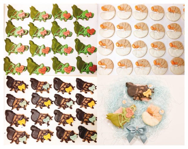 虫グルメコレクション