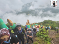 鈴鹿山脈竜ヶ岳・龍の道再生プロジェクトin三重